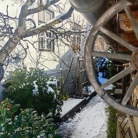 Hisa Hortenzija Luče Exteriör bild