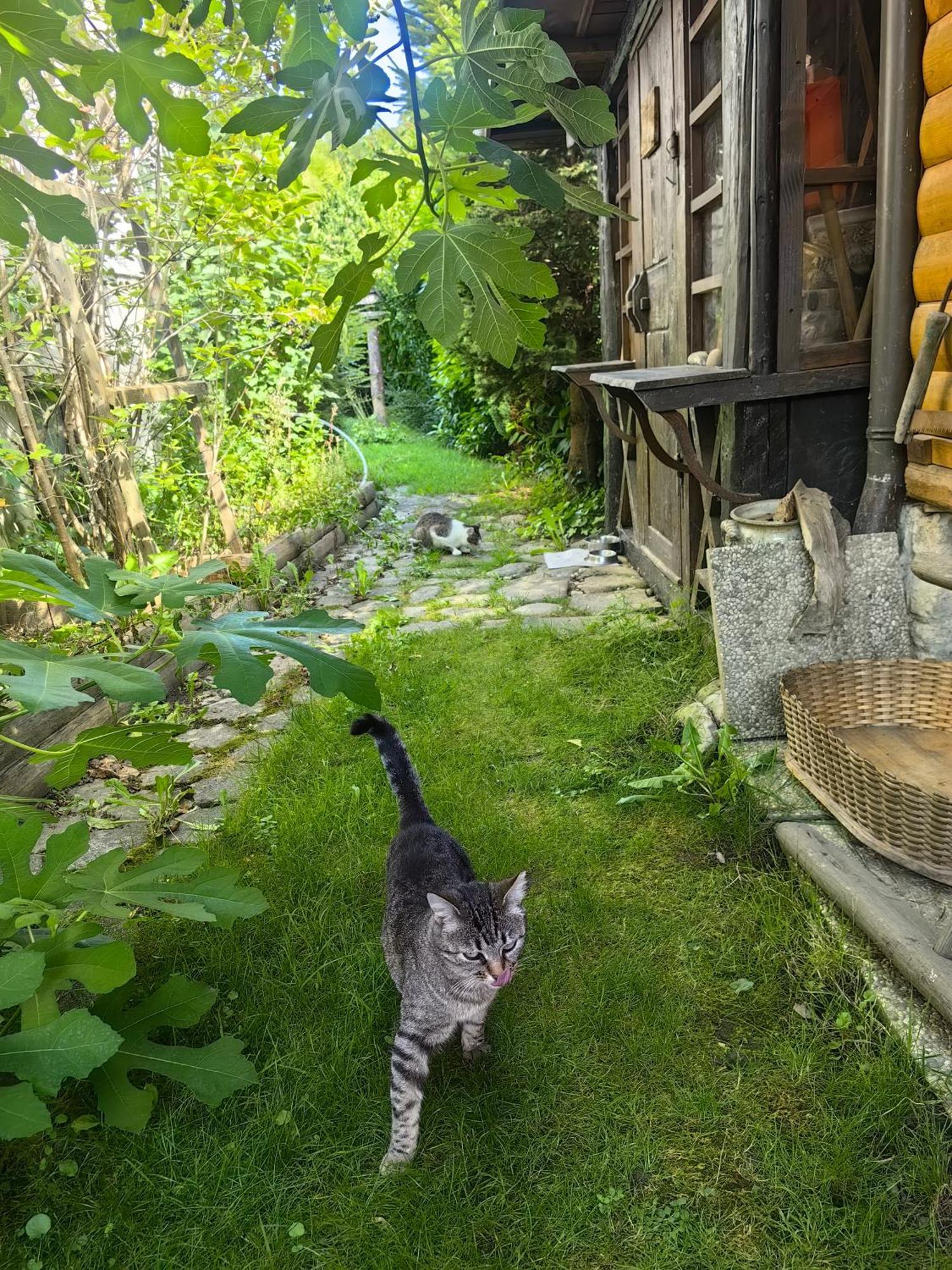 Hisa Hortenzija Luče Exteriör bild