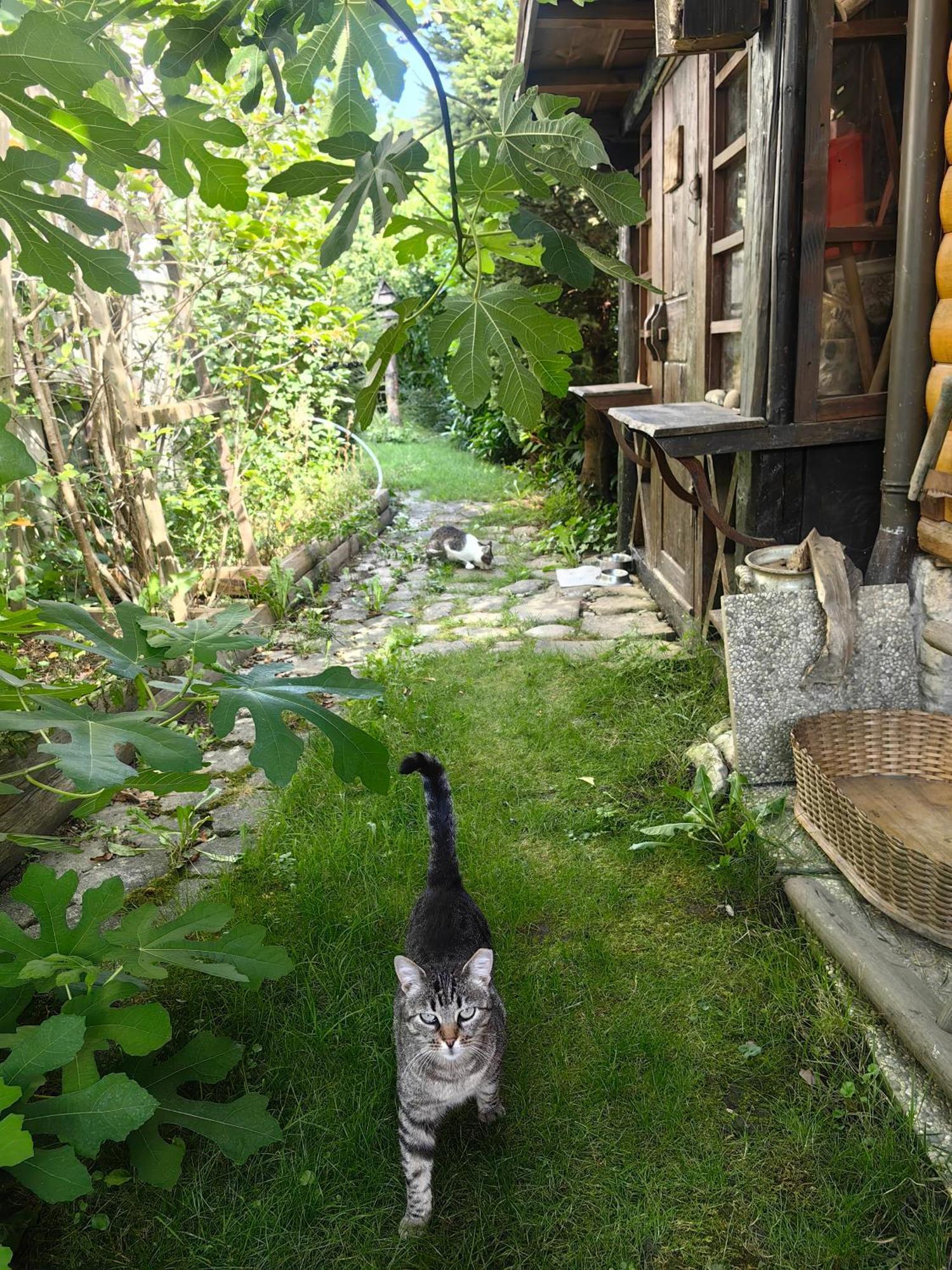Hisa Hortenzija Luče Exteriör bild